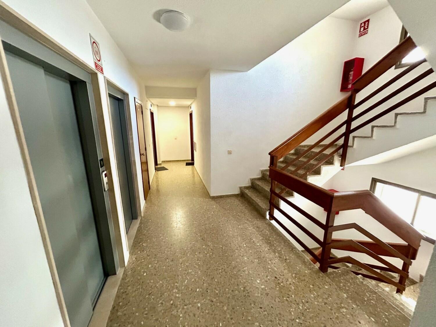 Gatu Arena " Preferente Mayores De 25 Anos Y Familias " El Puerto de Santa María Exteriér fotografie